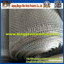 High Quality Latest Stainless Steel Crimped Wire Mesh